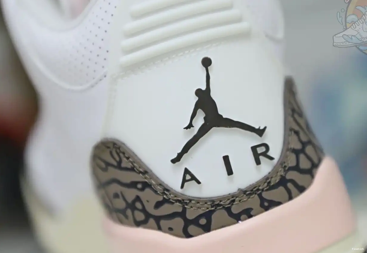 Air Jordan 3 retro
